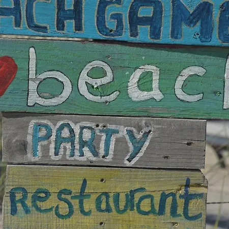 Vakantiehuis Bloei Aan Zee 200 M From Sea&center