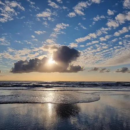 בית נופש Bloei Aan Zee 200 M From Sea And Center