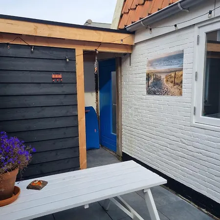 Bloei Aan Zee 200 M From Sea And Center