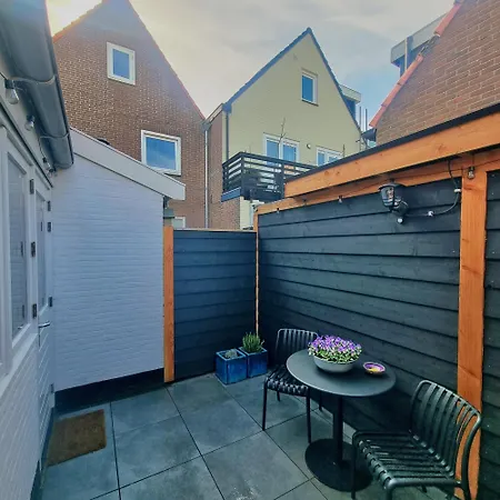 Bloei Aan Zee 200 M From Sea And Center