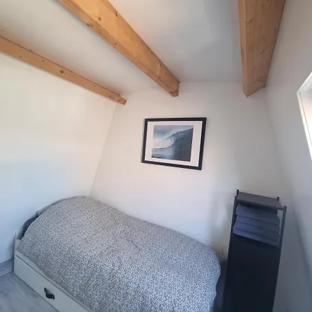 Bloei Aan Zee 200 M From Sea&center Vakantiehuis Egmond aan Zee