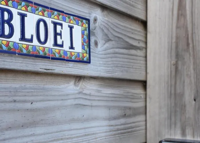 Bloei Aan Zee 200 M From Sea&center * Egmond aan Zee