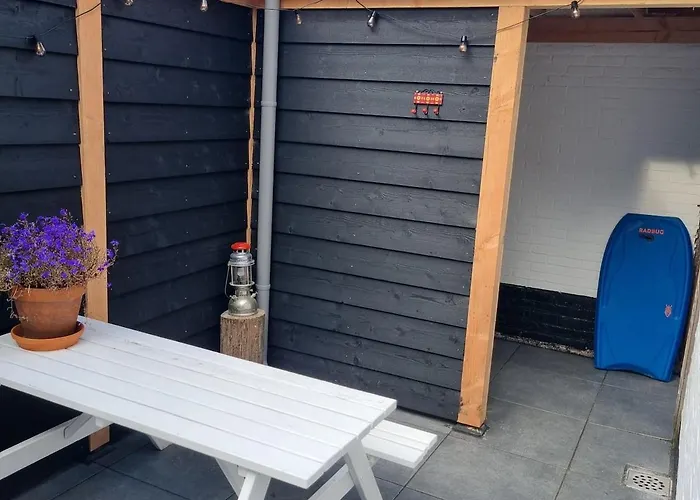 Bloei Aan Zee 200 M From Sea And Center