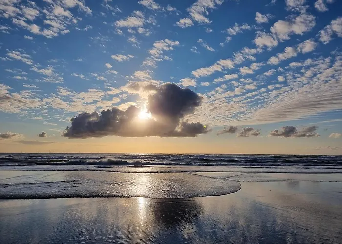 בית נופש Bloei Aan Zee 200 M From Sea And Center