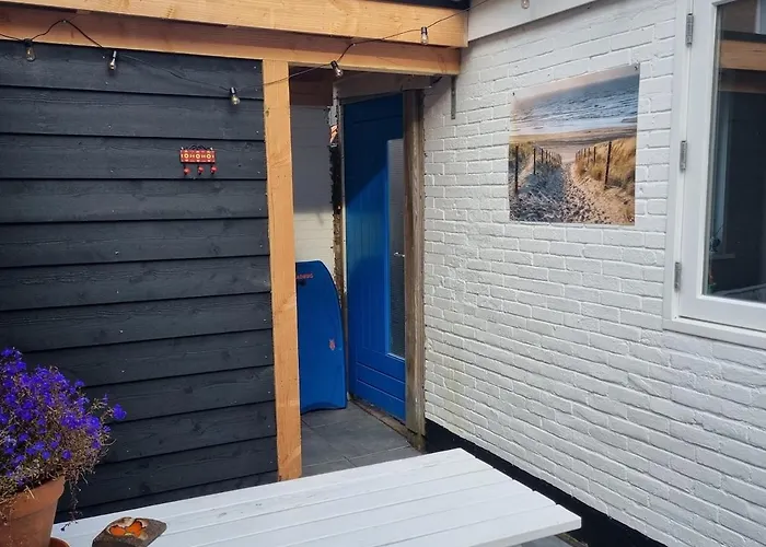 Bloei Aan Zee 200 M From Sea And Center