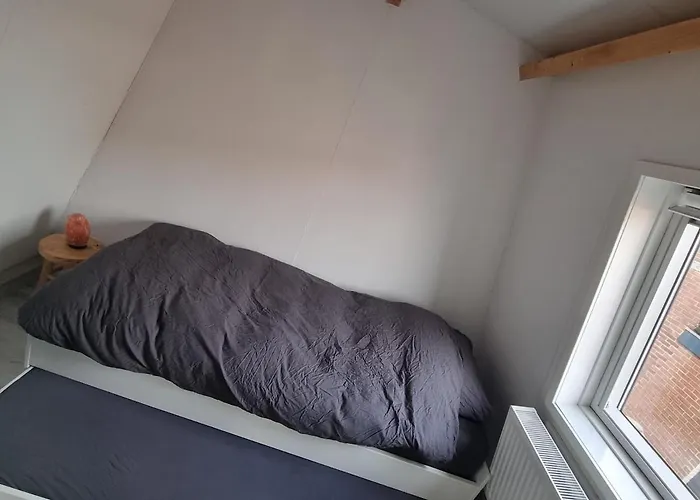 Vakantiehuis Bloei Aan Zee 200 M From Sea&center