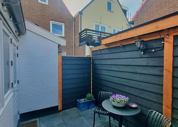 Bloei Aan Zee 200 M From Sea And Center