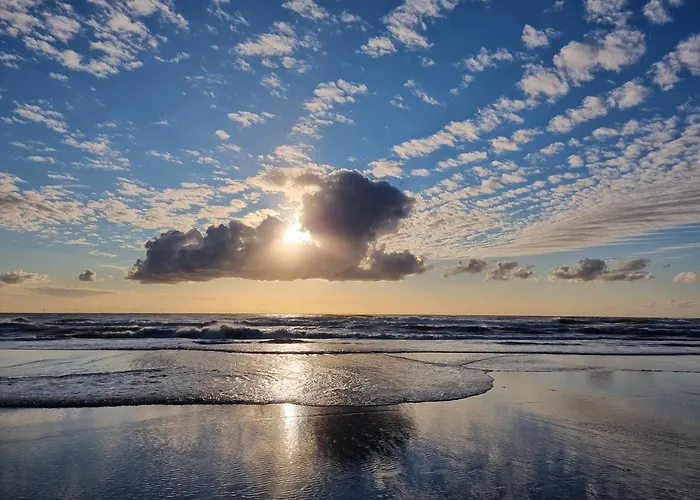 Bloei Aan Zee 200 M From Sea And Center Holiday home *